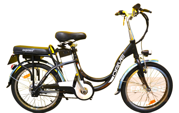 Eco bikes hot sale