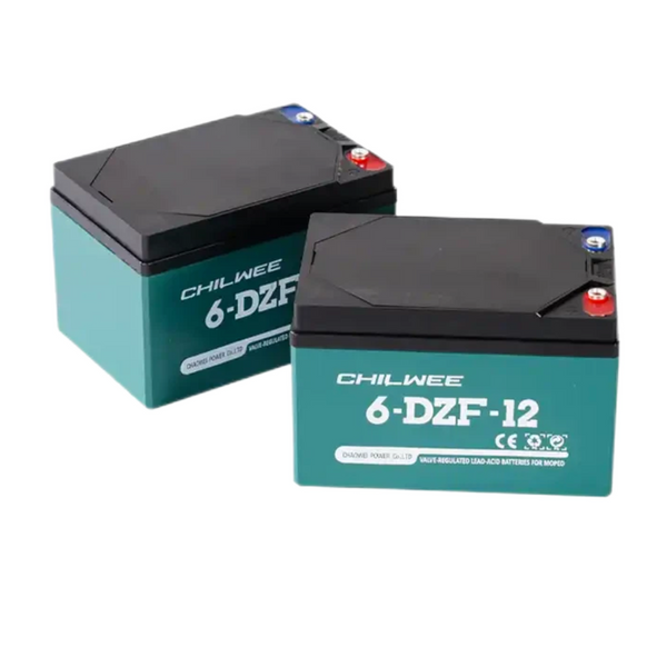 PMA Battery Lead Acid Battery SLA Battery 6-DZF-12 6-DZF-20 6-DZF-22