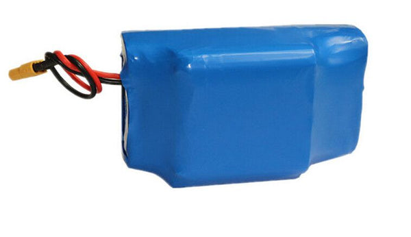 Hoverboard online battery replacement