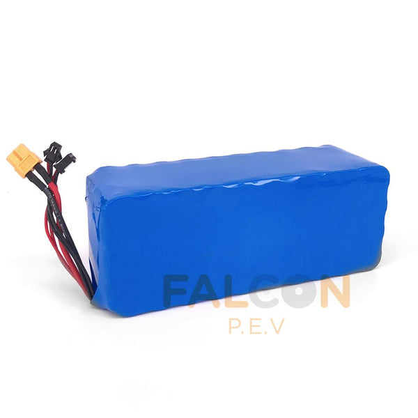 DYU Battery 36V 6Ah 10Ah Lithium Ion Battery for DYU Deluxe