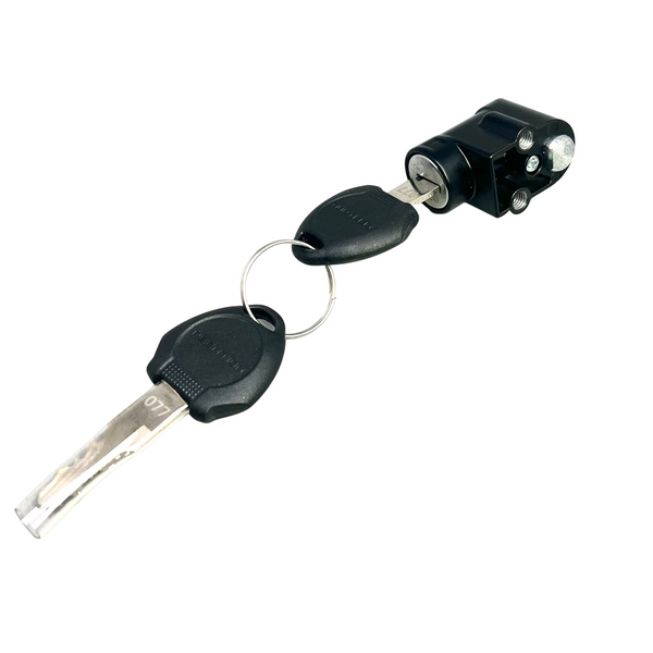 ROGI Ebike Battery Key Lock