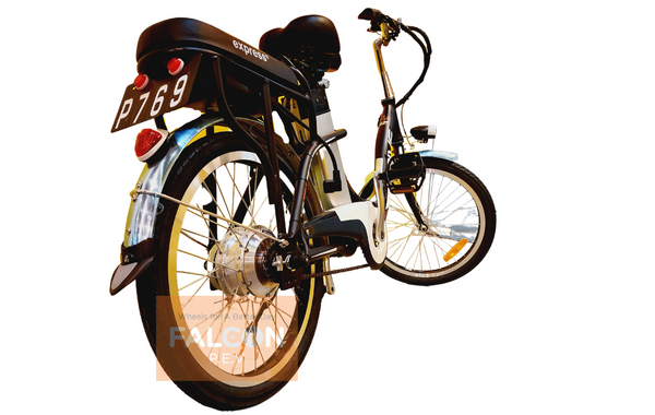EcoDrive Classic E-Bike 48V 15Ah (2024 model)
