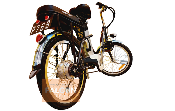 EcoDrive PLUS E-Bike (2022 model)