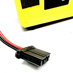 Travelscoot Battery 24V 10Ah 252Wh