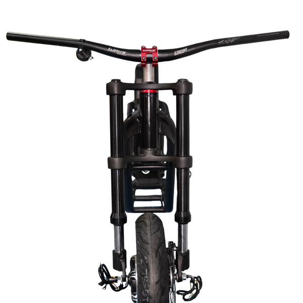 Dual Crown Suspension Fork Fiido