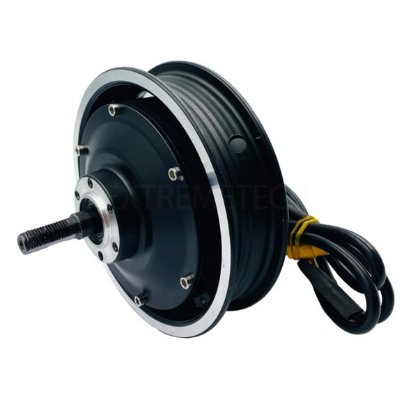 ZERO 10 Motor 1000W 10 inch Motor